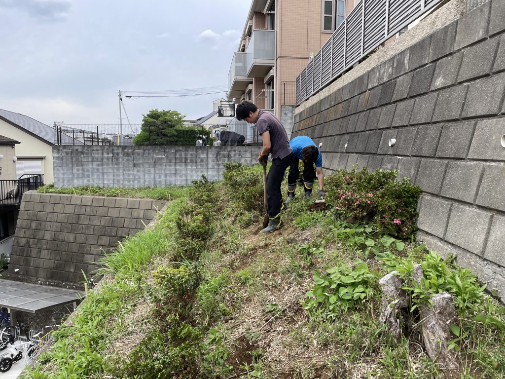 アルプス妙蓮寺　植樹